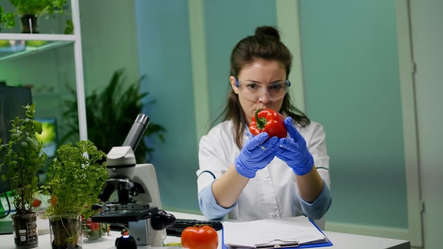 Community Nutrition Lab